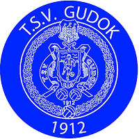 TSV Gudok